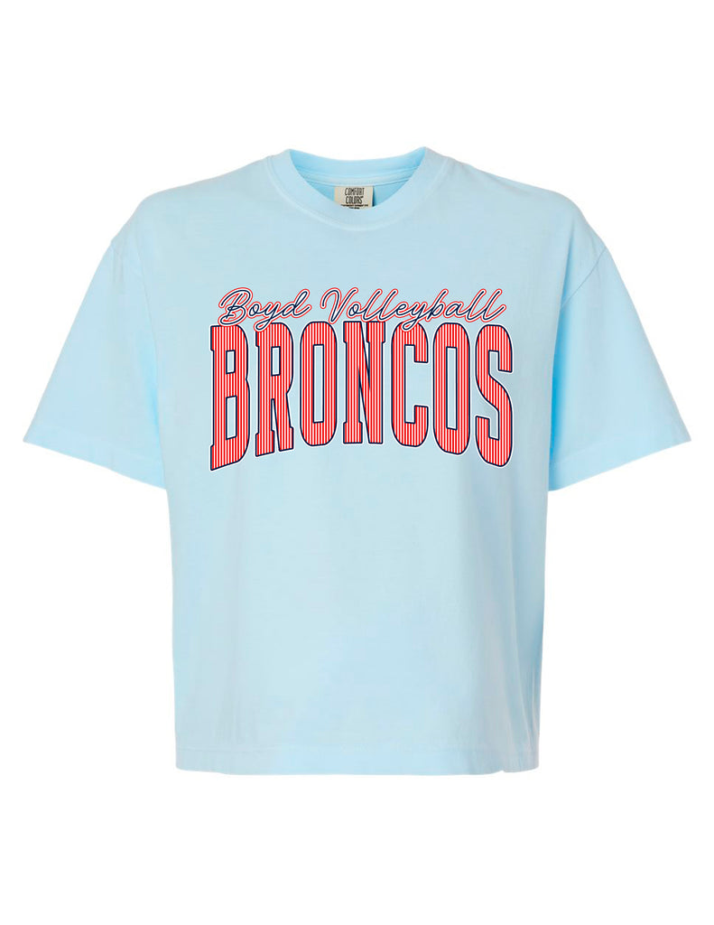 Boyd Volleyball Pinstripe Chambray Comfort Colors Boxy Crop Tee