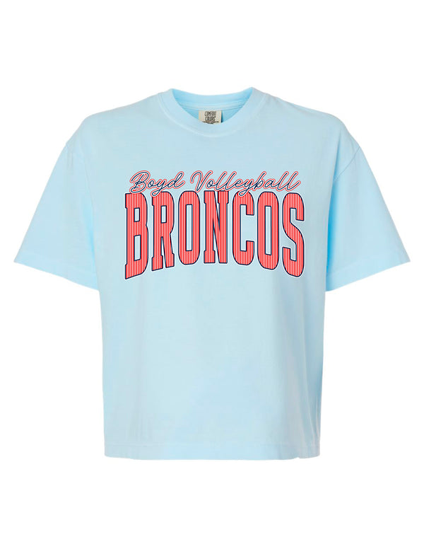 Boyd Volleyball Pinstripe Chambray Comfort Colors Boxy Crop Tee