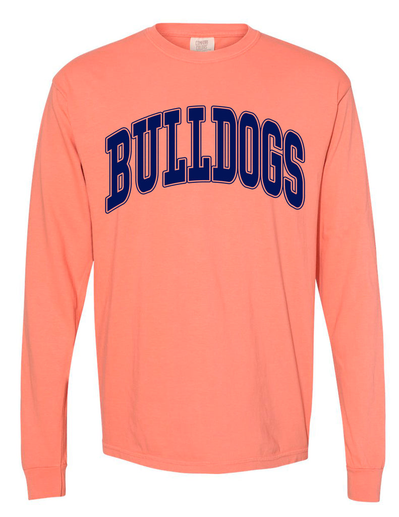 North Cheer Oversized Comfort Colors Terracotta Long Sleeve Tee