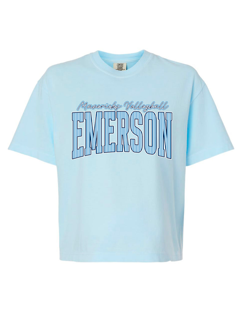 Emerson Volleyball Pinstripe Comfort Colors Chambray Cropped Tee
