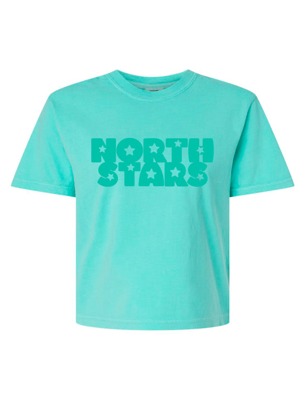 NorthStars Comfort Colors Boxy Cropped Tee in Chalky Mint