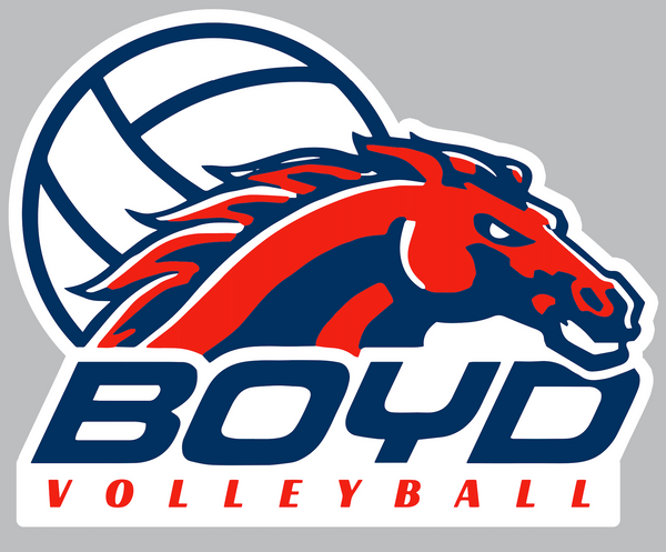 Boyd Volleyball Car Decal