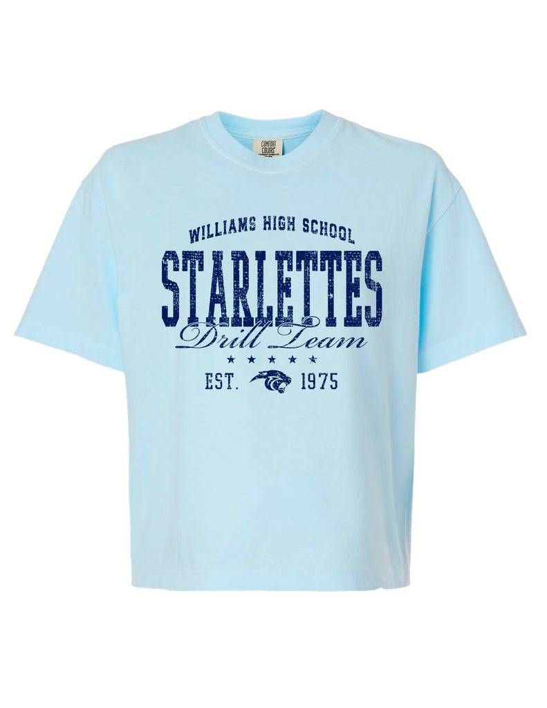 Starlettes One Color Monochromatic Chambray Comfort Colors Boxy Mid-Length Tee